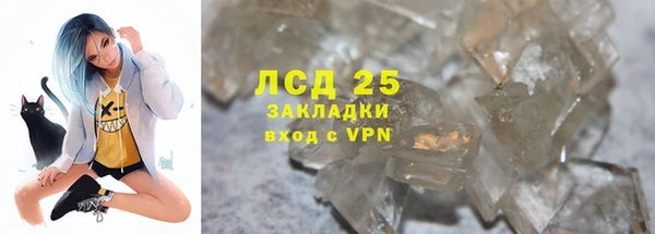 спайс Корсаков