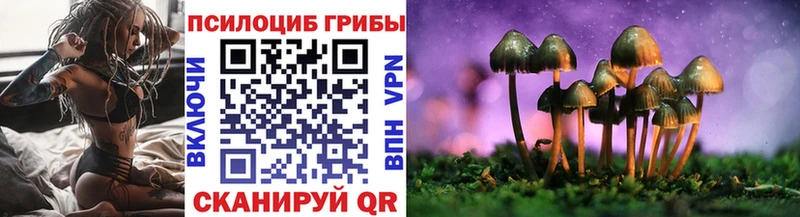 Купить где  Алагир  Галлюциногенные грибы ЛСД 